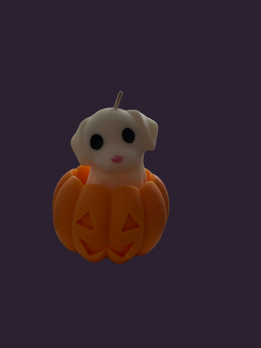 Puppy ghost in pumpkin hand-poured soy candle by Missy Sol, caramelised toffee apple scent